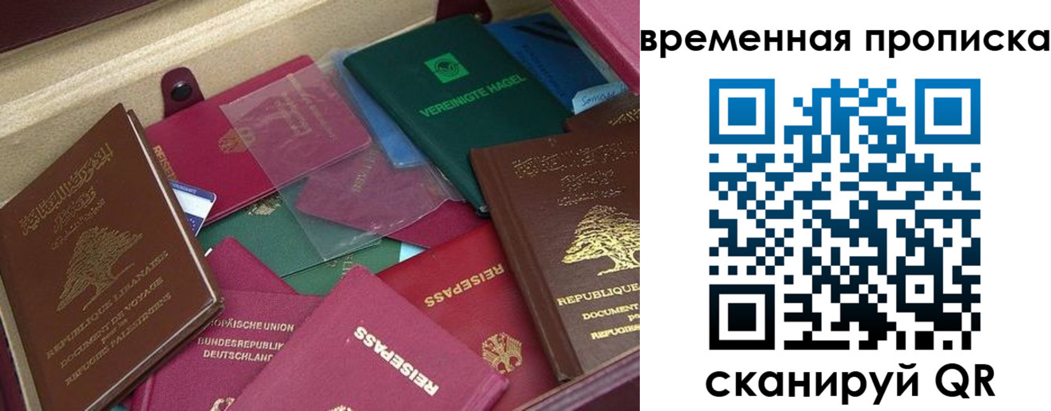 прописка в Кондрово